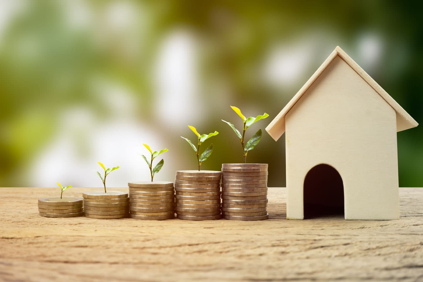 Investissement en coopérative